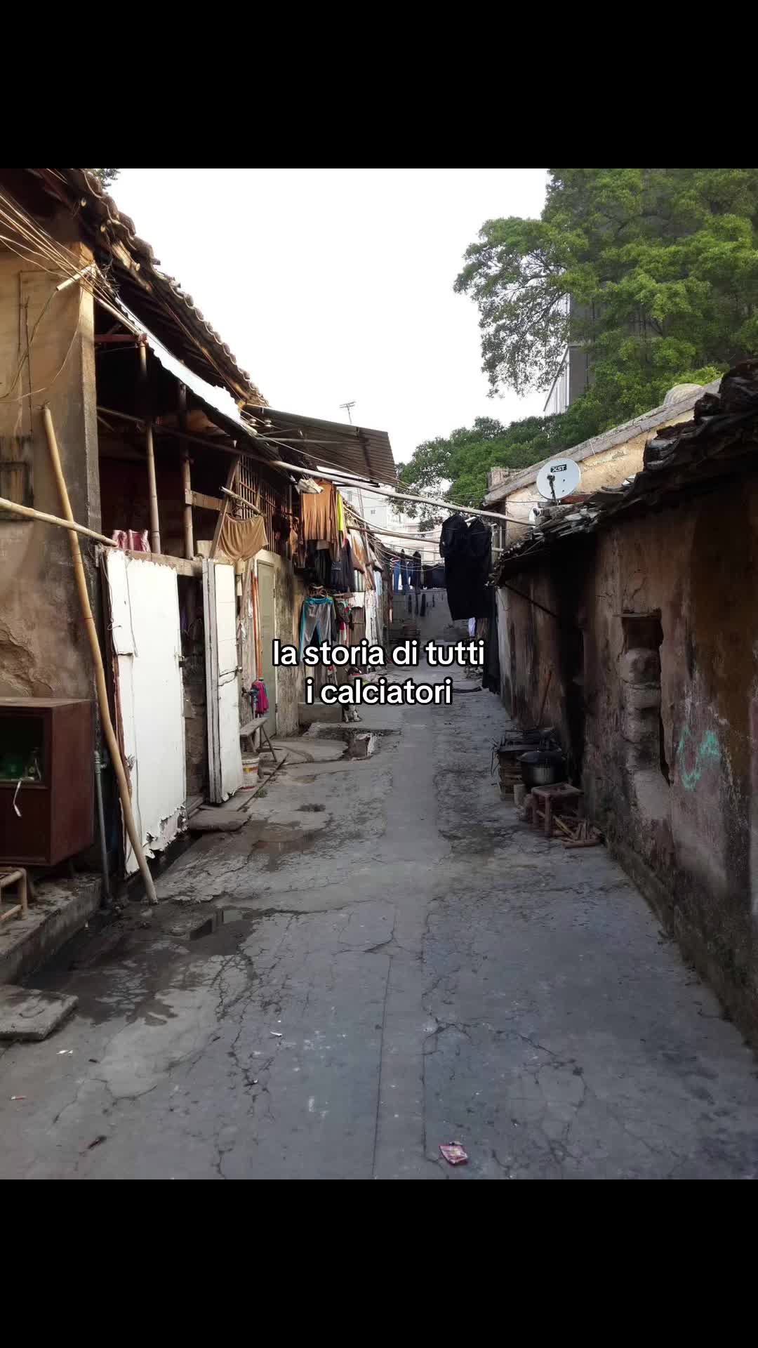 @𝘋𝘢𝘳𝘪𝘰