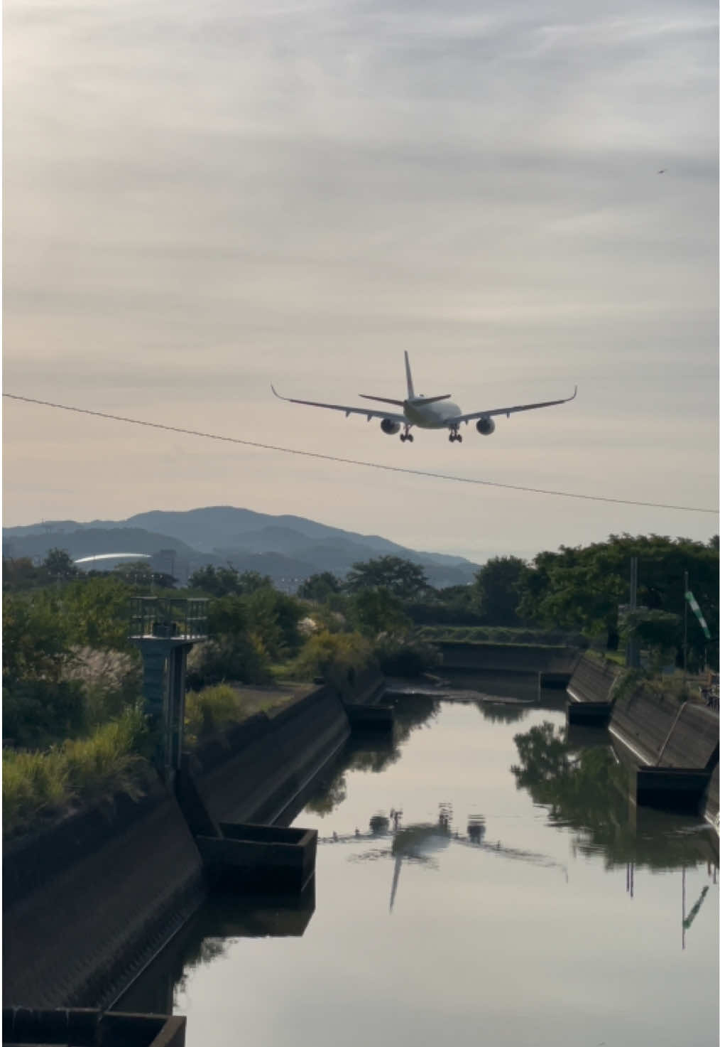 @⚾️✈️Mr.Furuconda🇯🇵🐍🦅