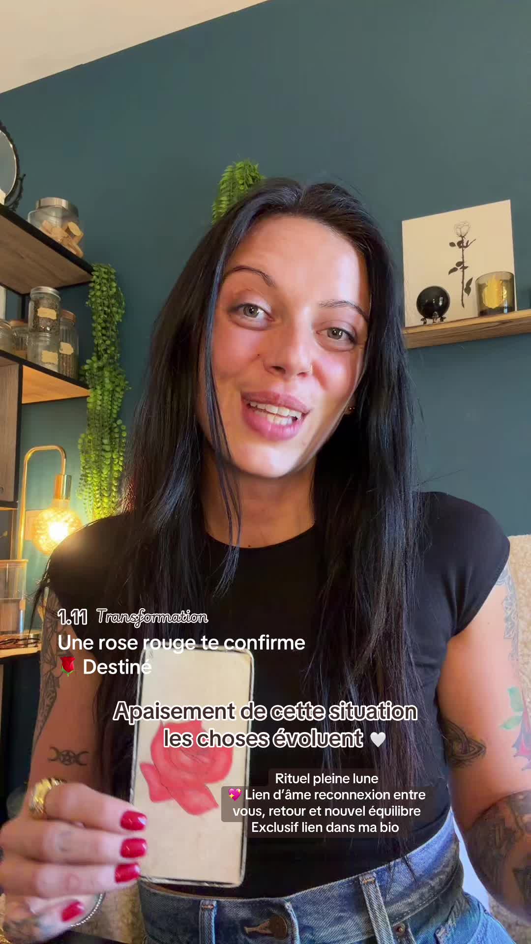 @alyehouse