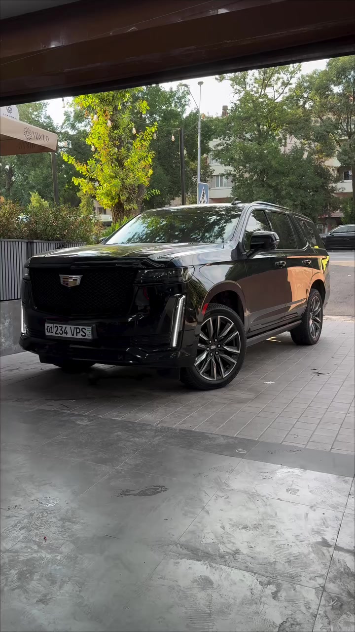 @Kia Peugeot Toyota
