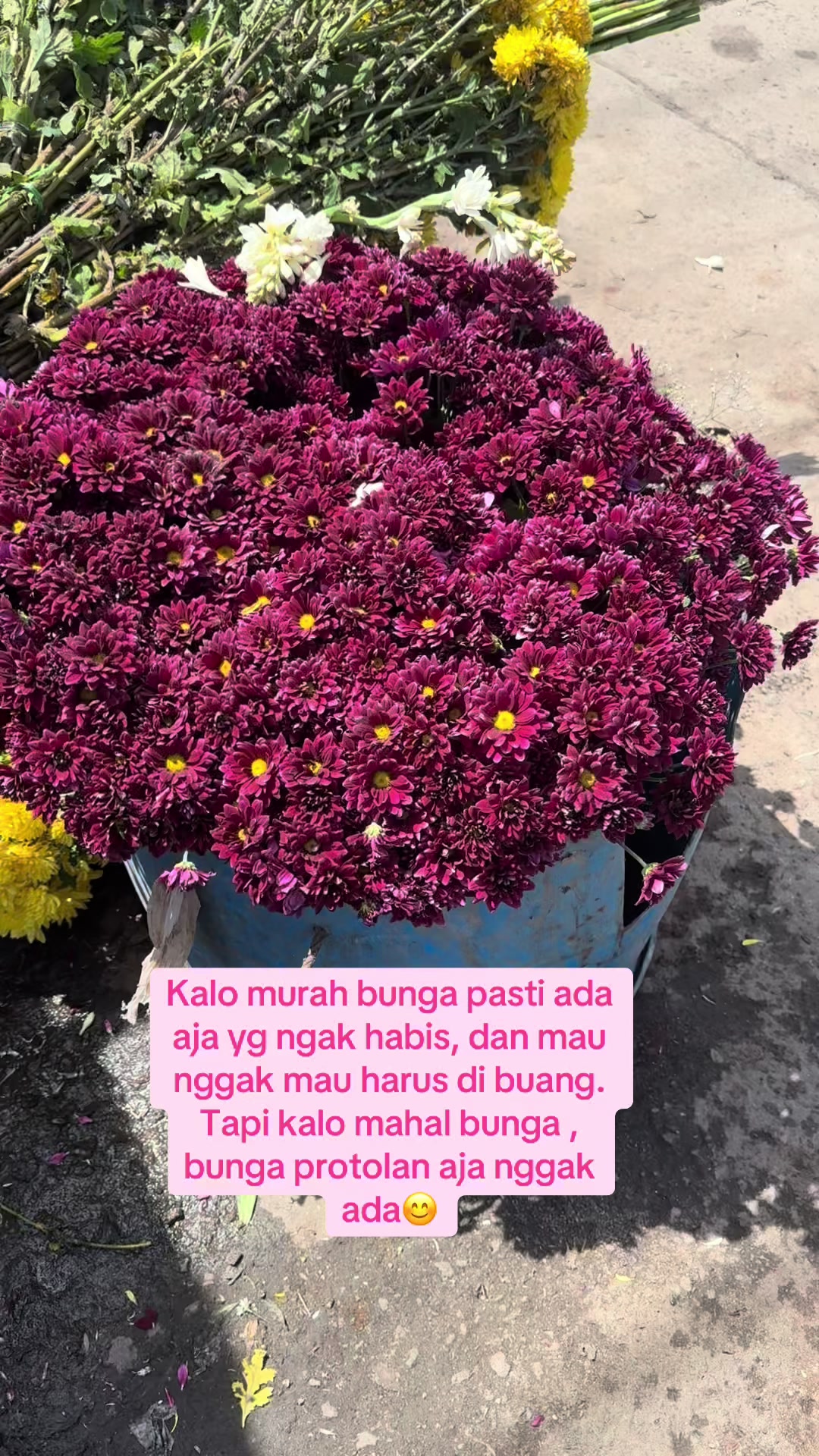 @Hendro Ginting