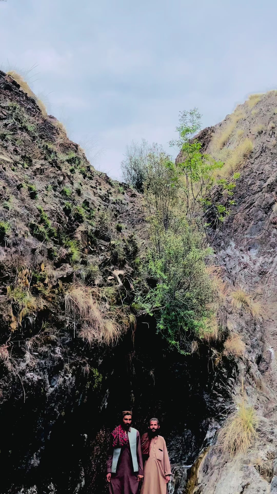 @باغی جاجا 303