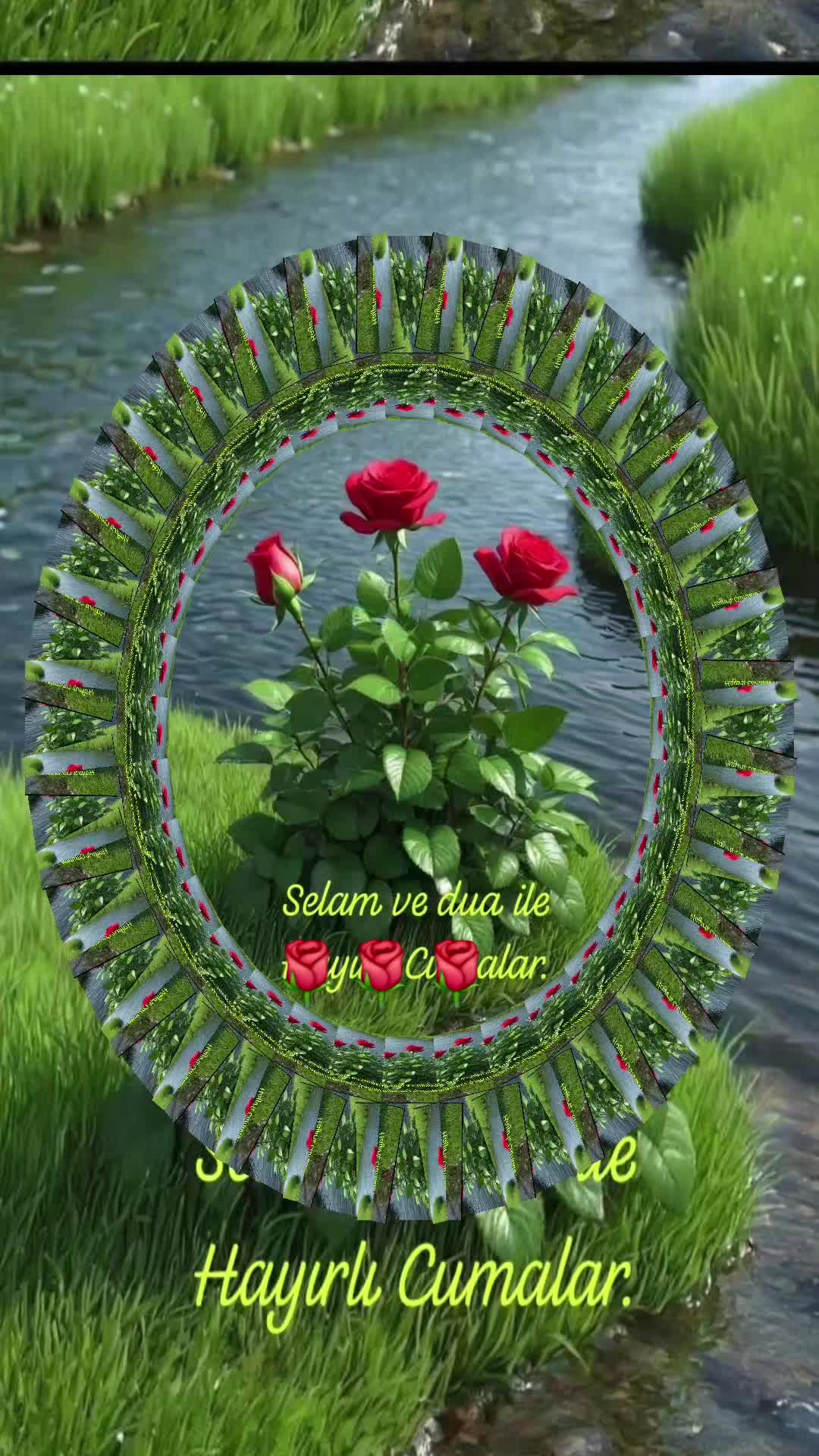 @hazineakcelep