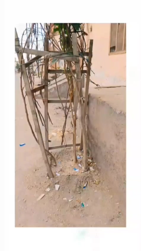 @👑چوہدری سبحان گجر🔥