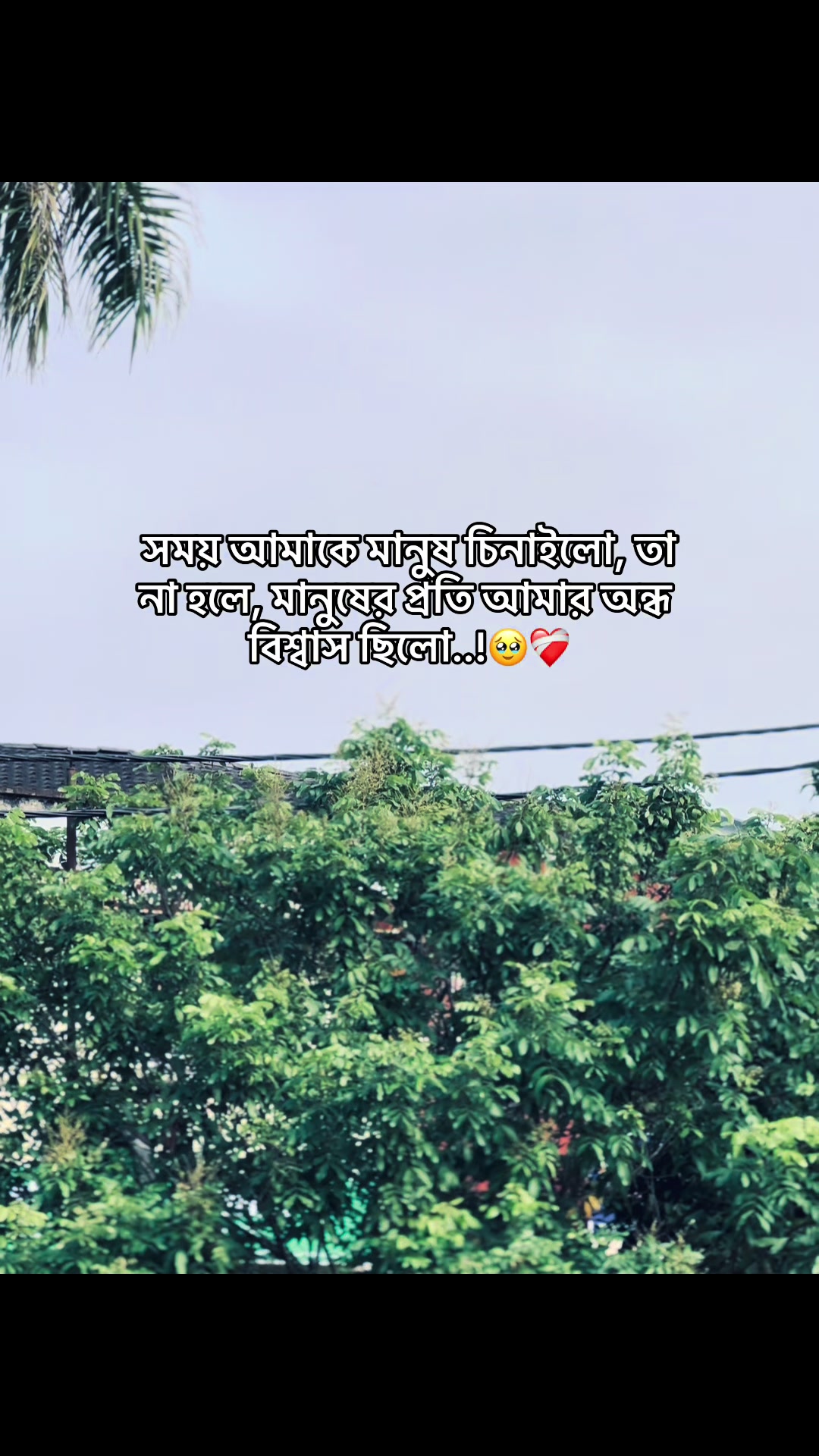 @đ° đĻ đ đ đ đ đ°'âĄ