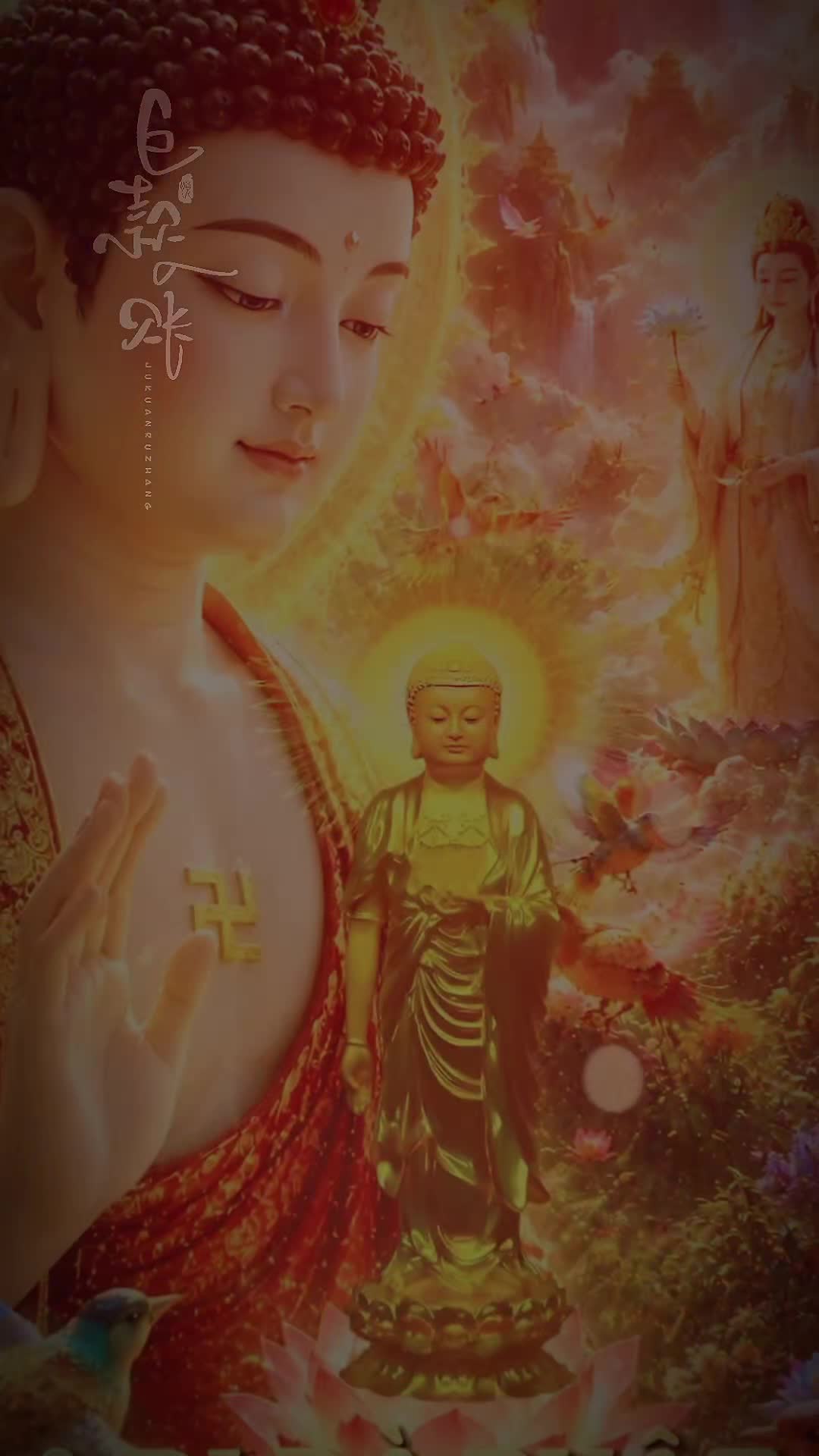 @nguyễn dung