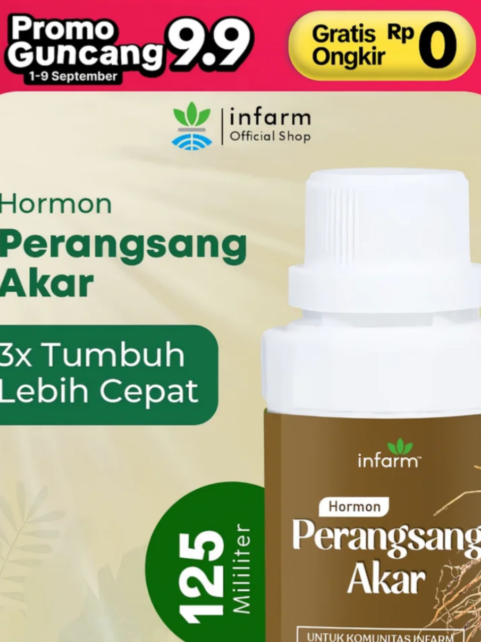 @Berkebun Berkah