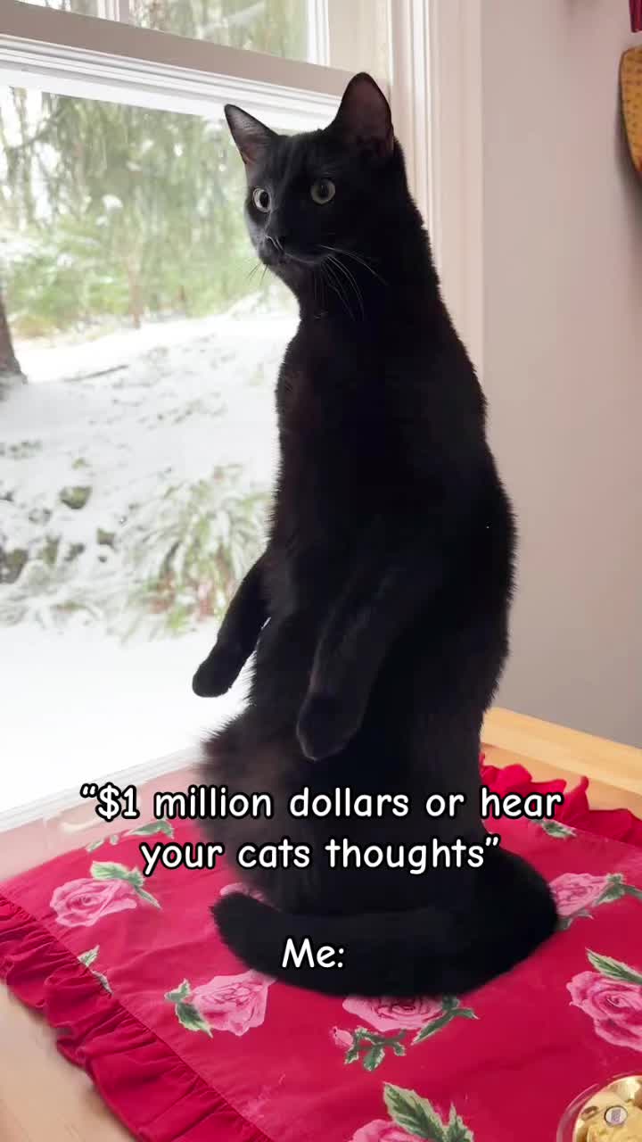 @Sam