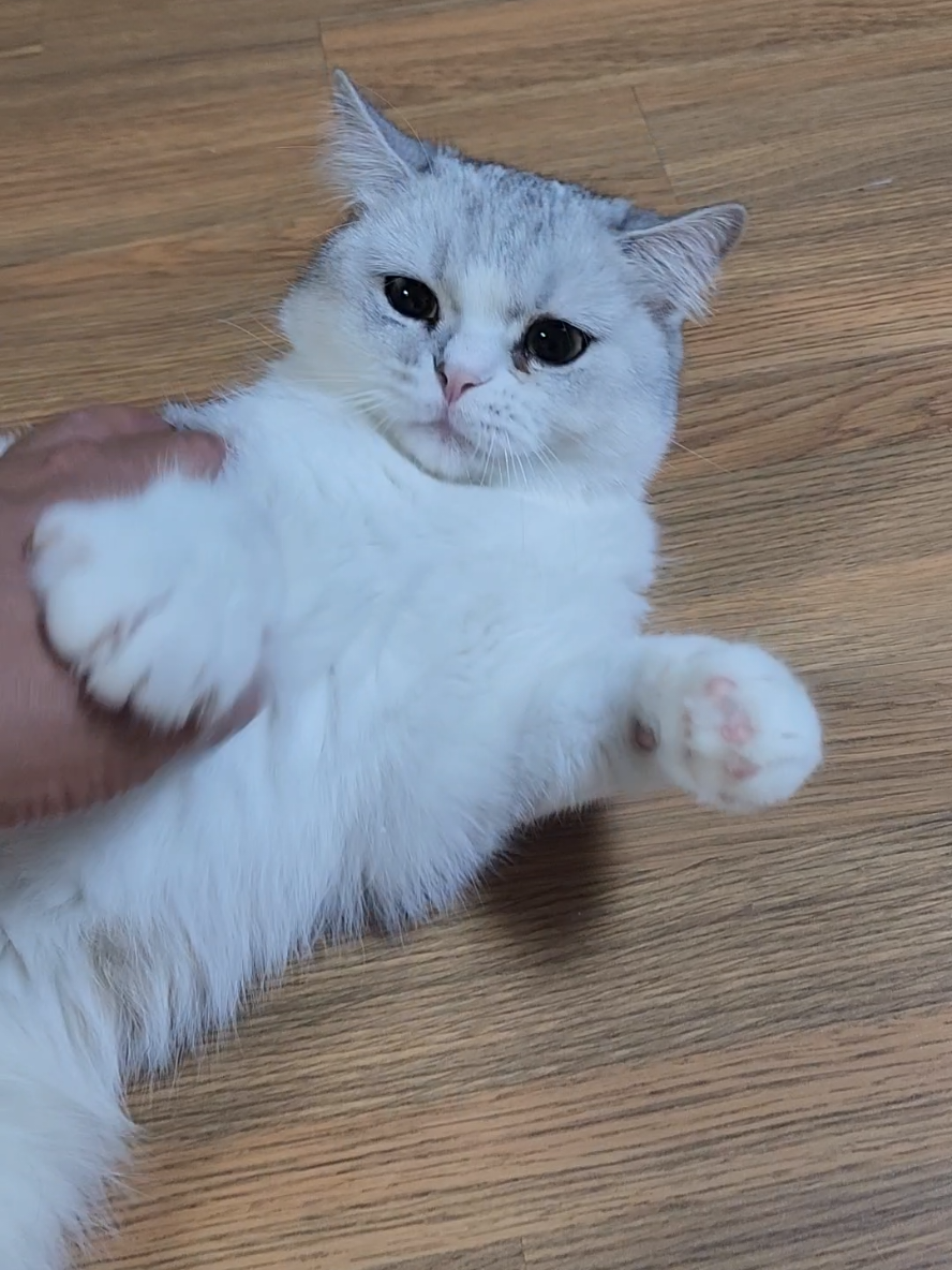 @박씨 거실