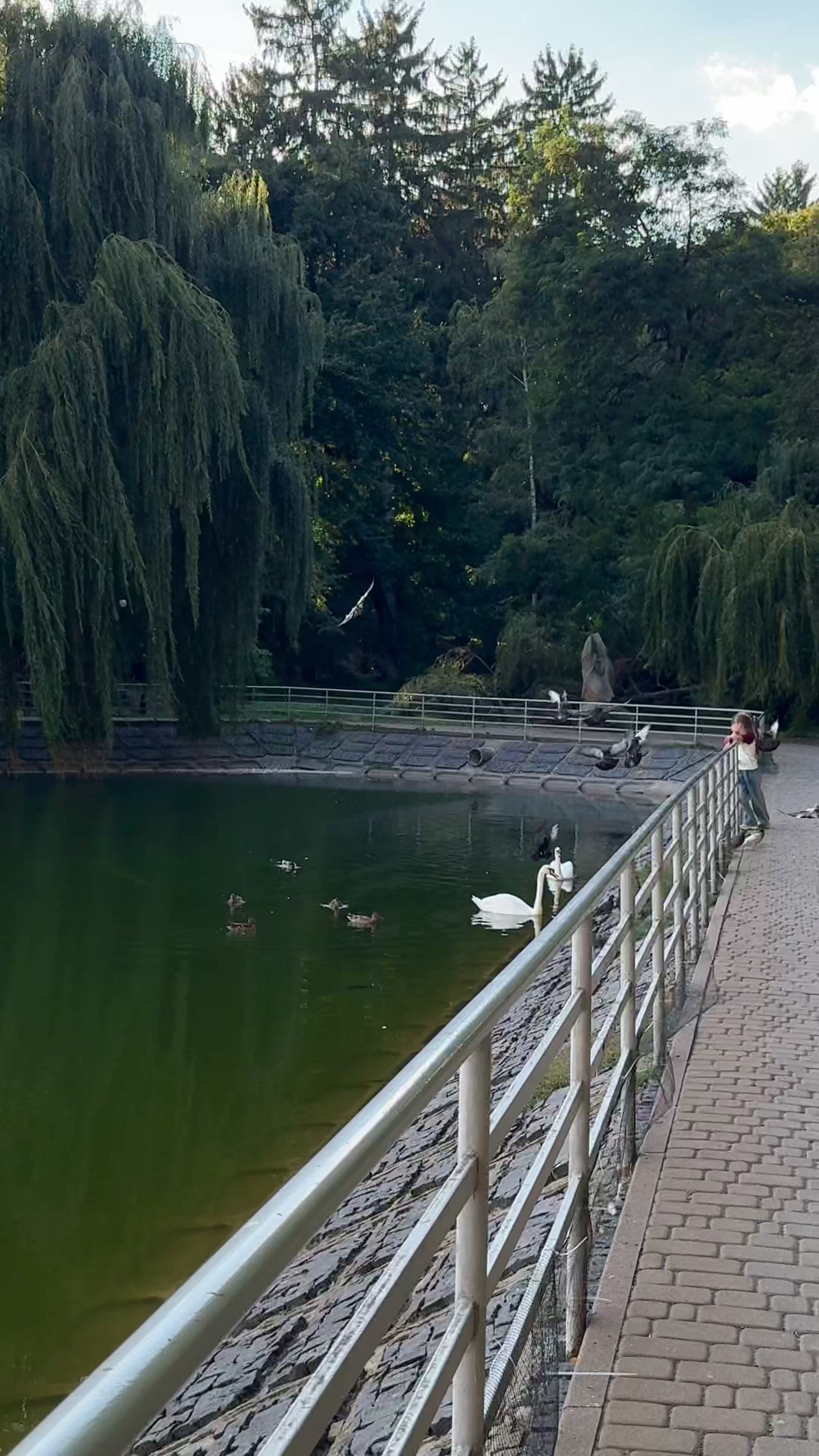 @Realtor_Vinnytsia