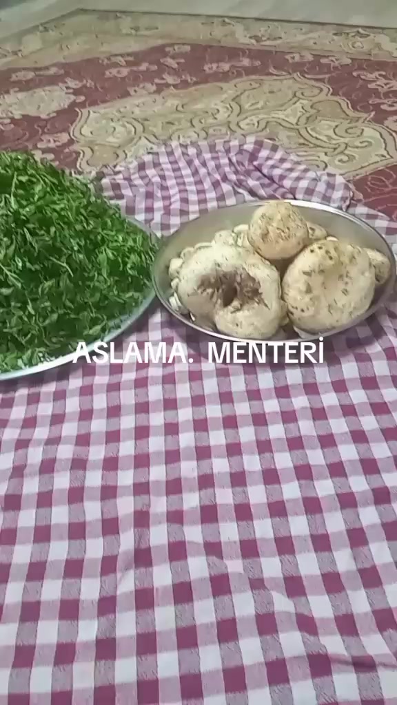 @taner