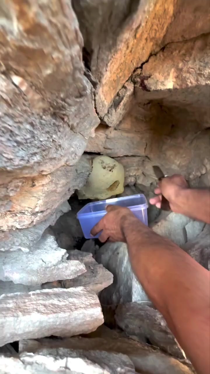 @هدوء البحر