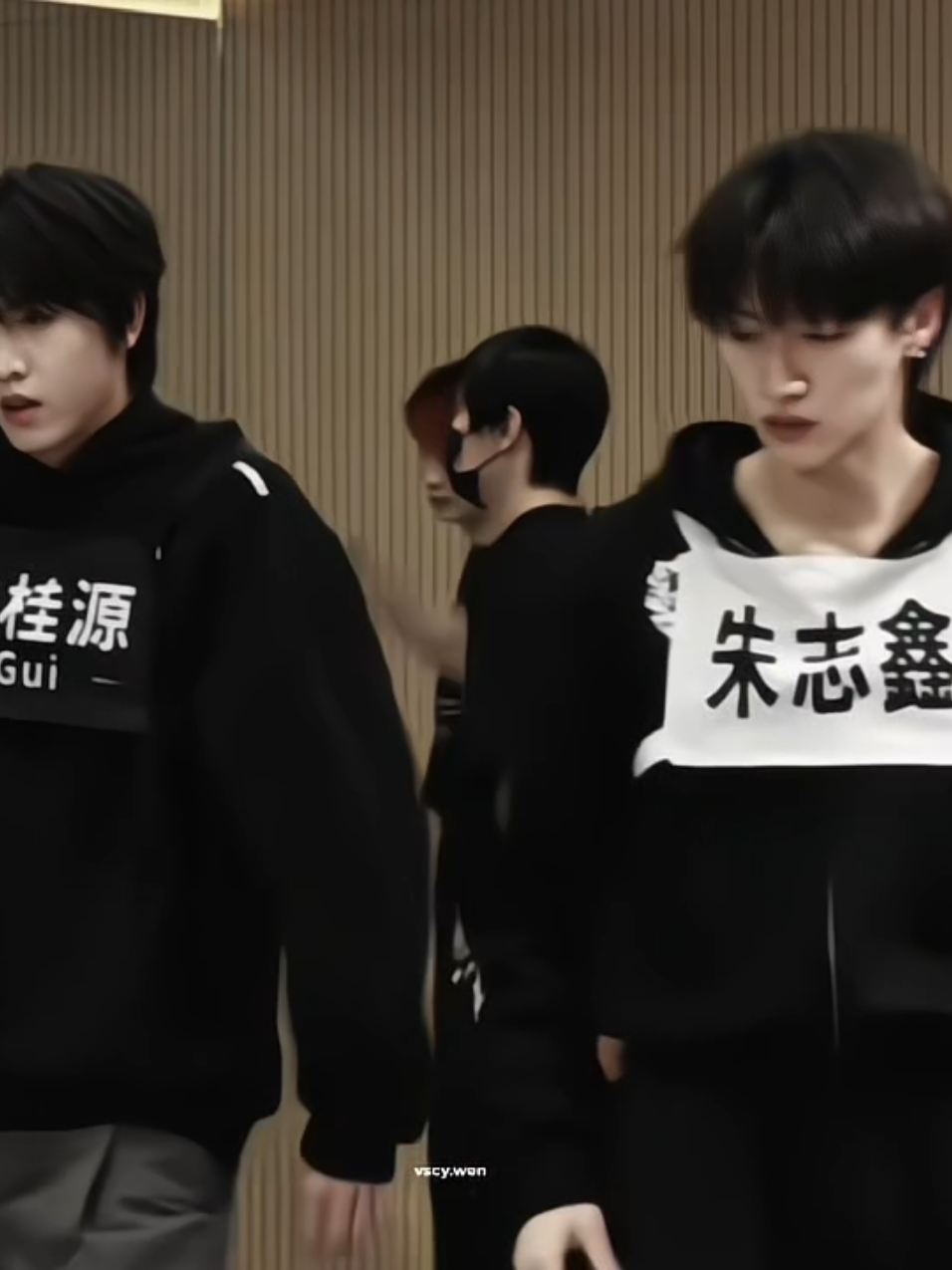 @yang 博文