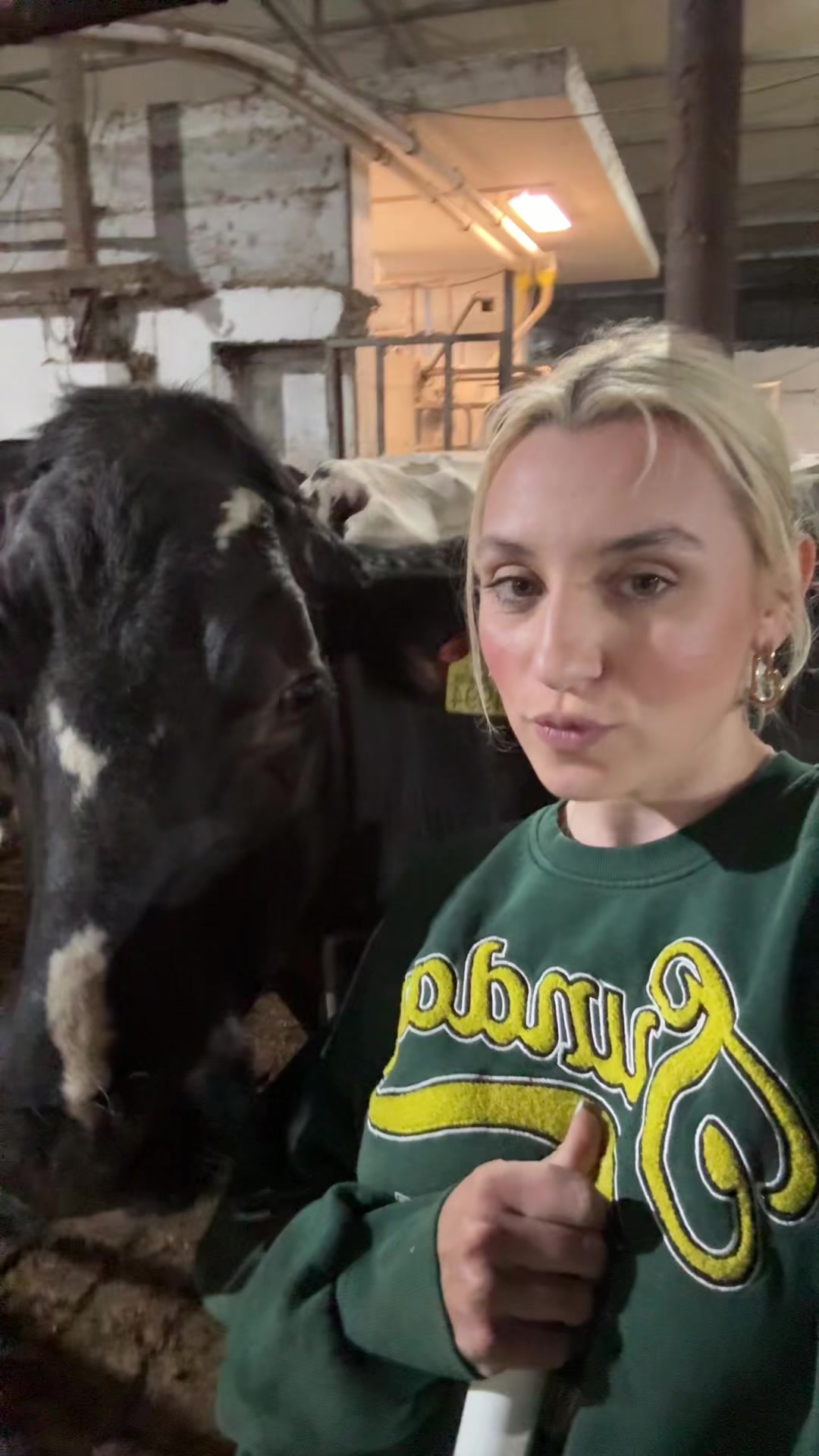 @Sofija Plavšić 🐮