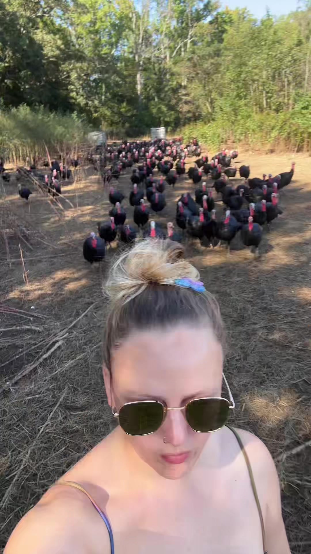 @farmerandtheharpiist