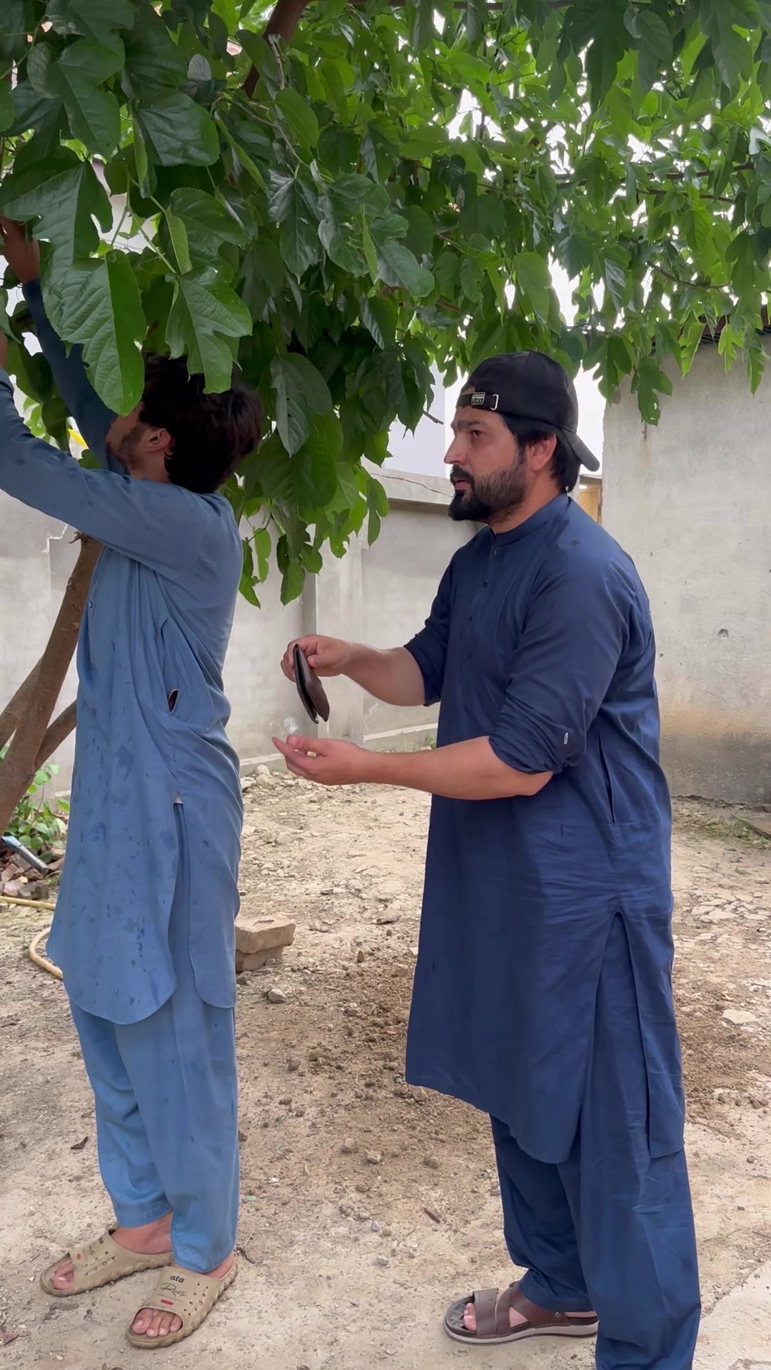 @Ishaq pkvines