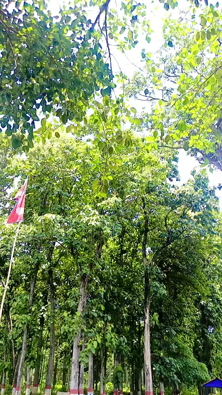 @muna maya pokhrel