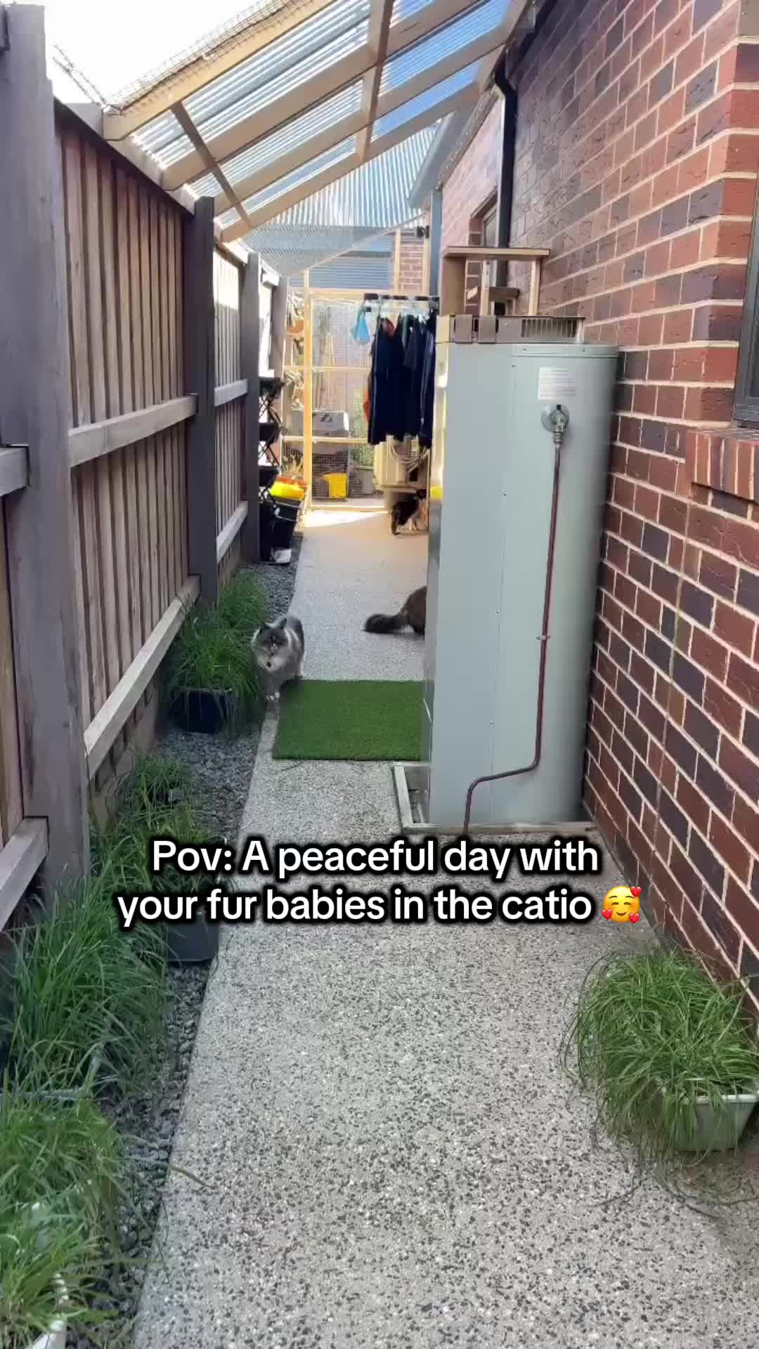 @Backyard Catio Builder