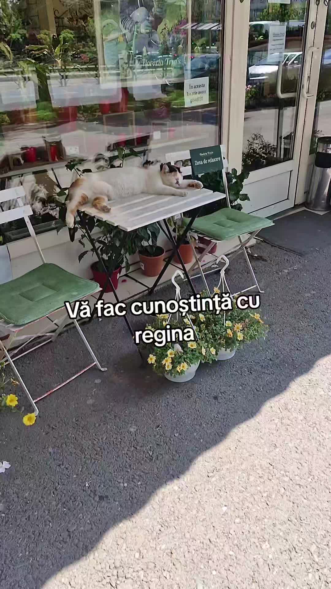 @Sabina