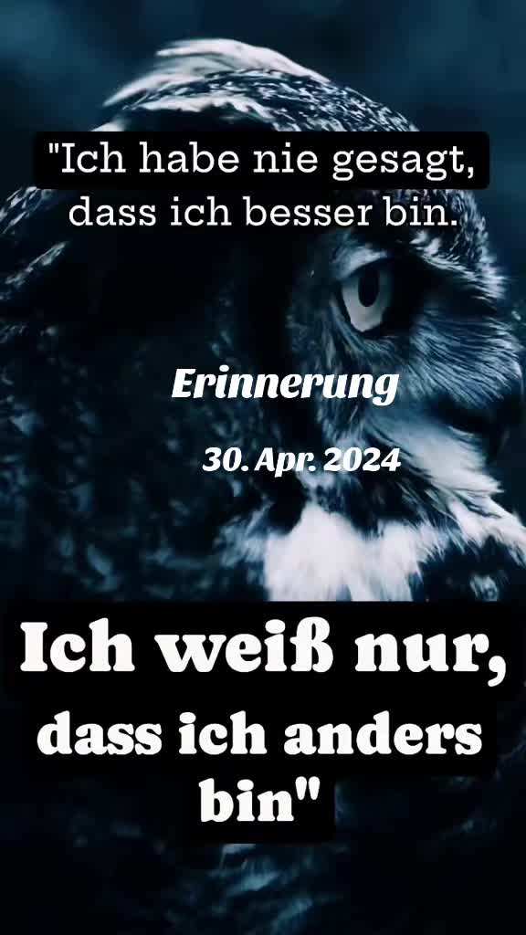 @🦊Rotfüchsin🦊