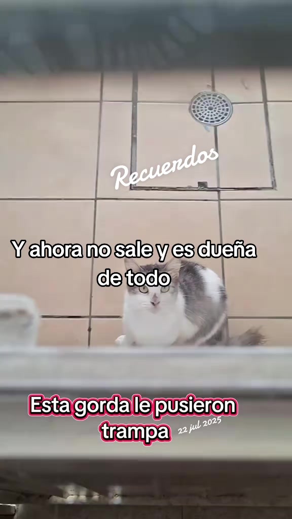 @Nel