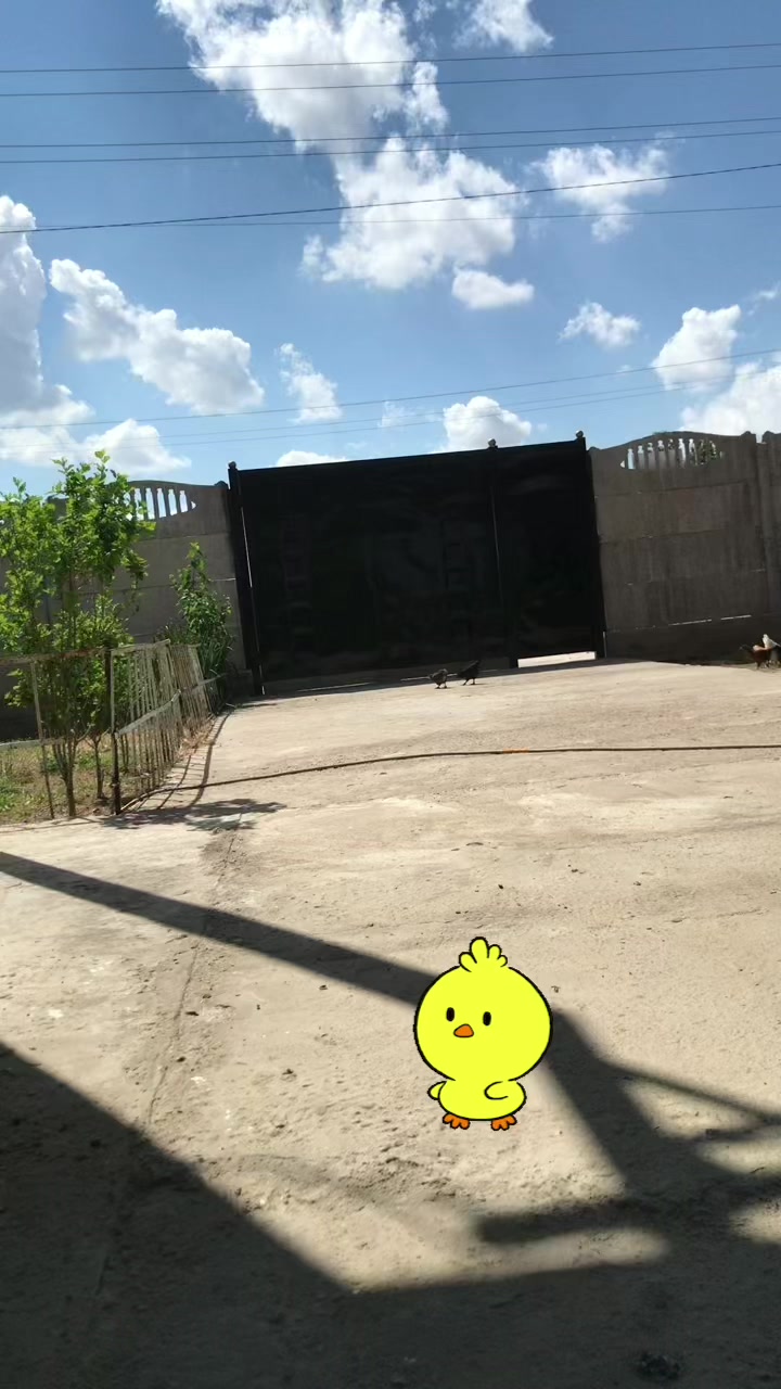 @Феруза Исаева