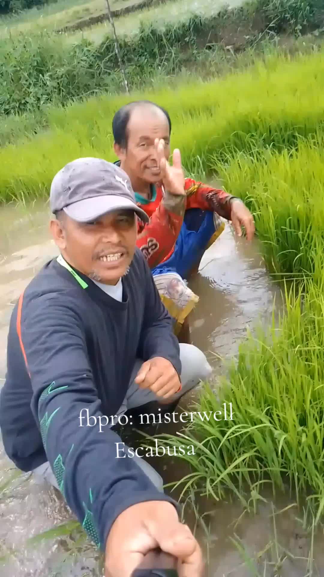 @FB: Misterwell TV