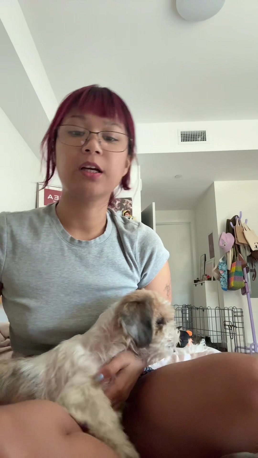 @spineglue