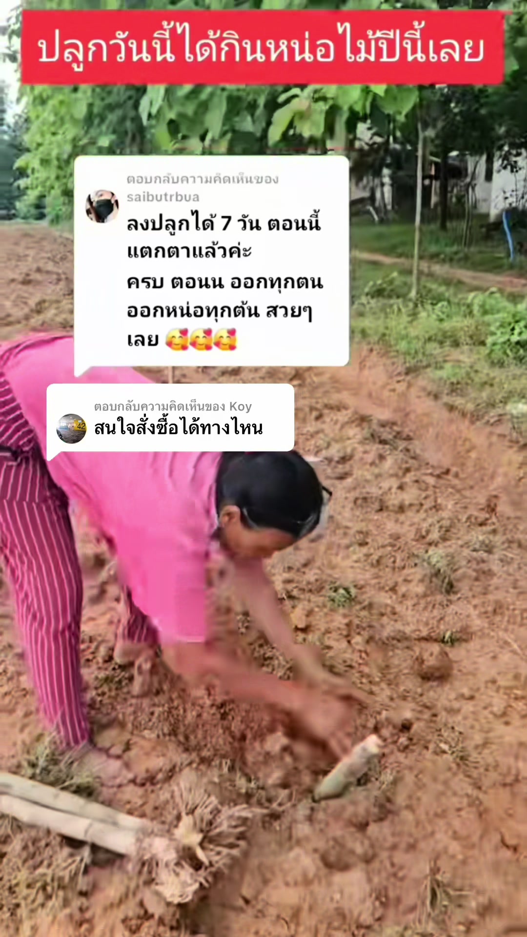 @นัดดาชอป