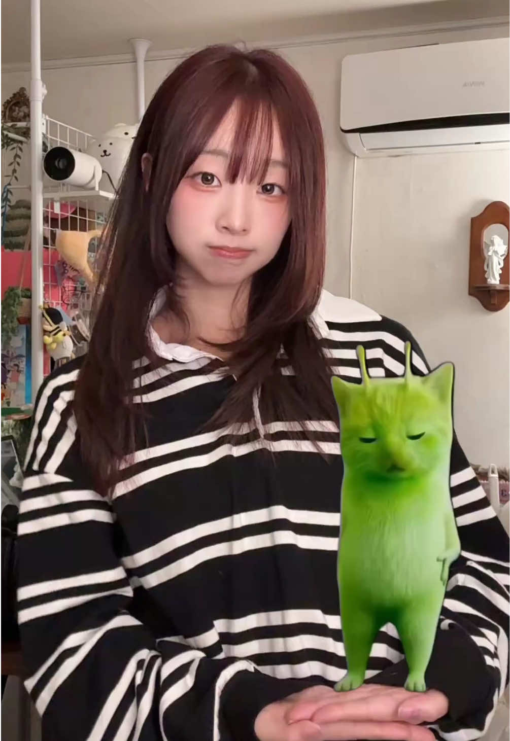 @🌹장미 jangmi🛡️