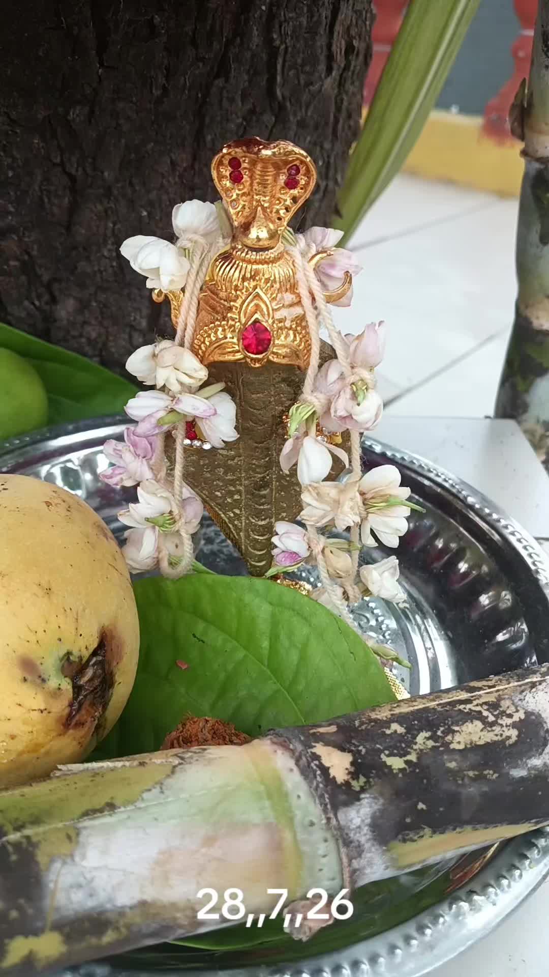@vanarai padai kumarmurugan621
