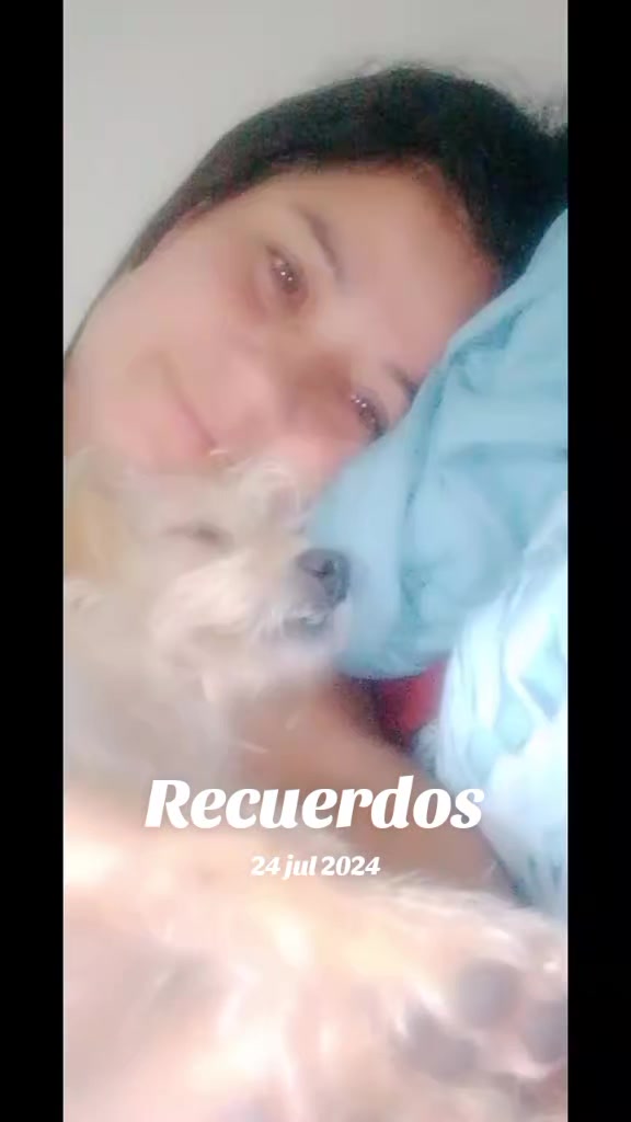 @wuendit