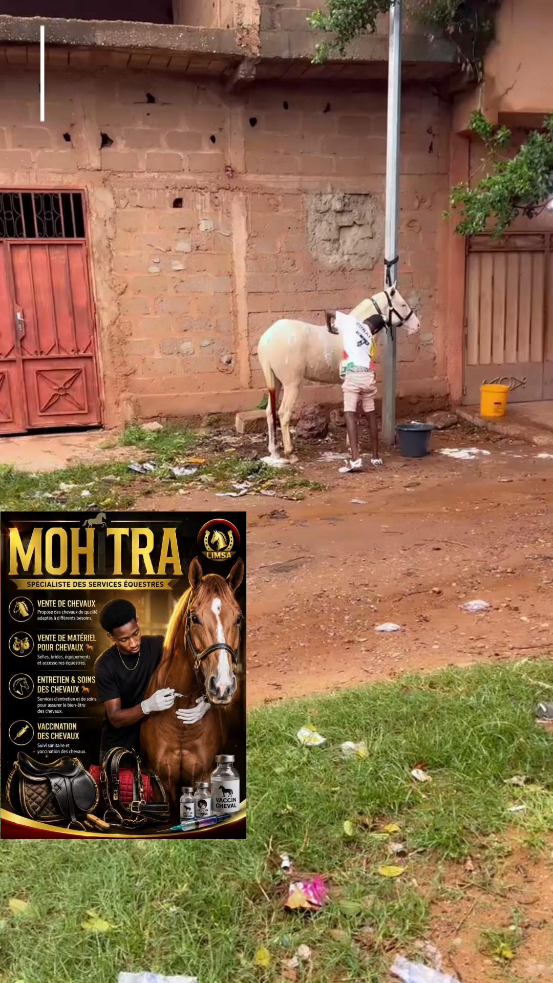 @Zoo 💙💙Ⓜ️ Tonton Mohtra57 💪