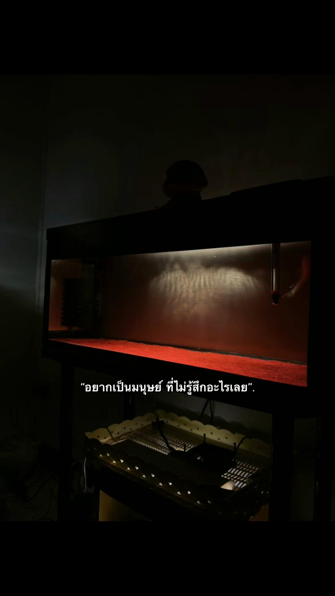 @เธรดสตอรี่(7.4M)