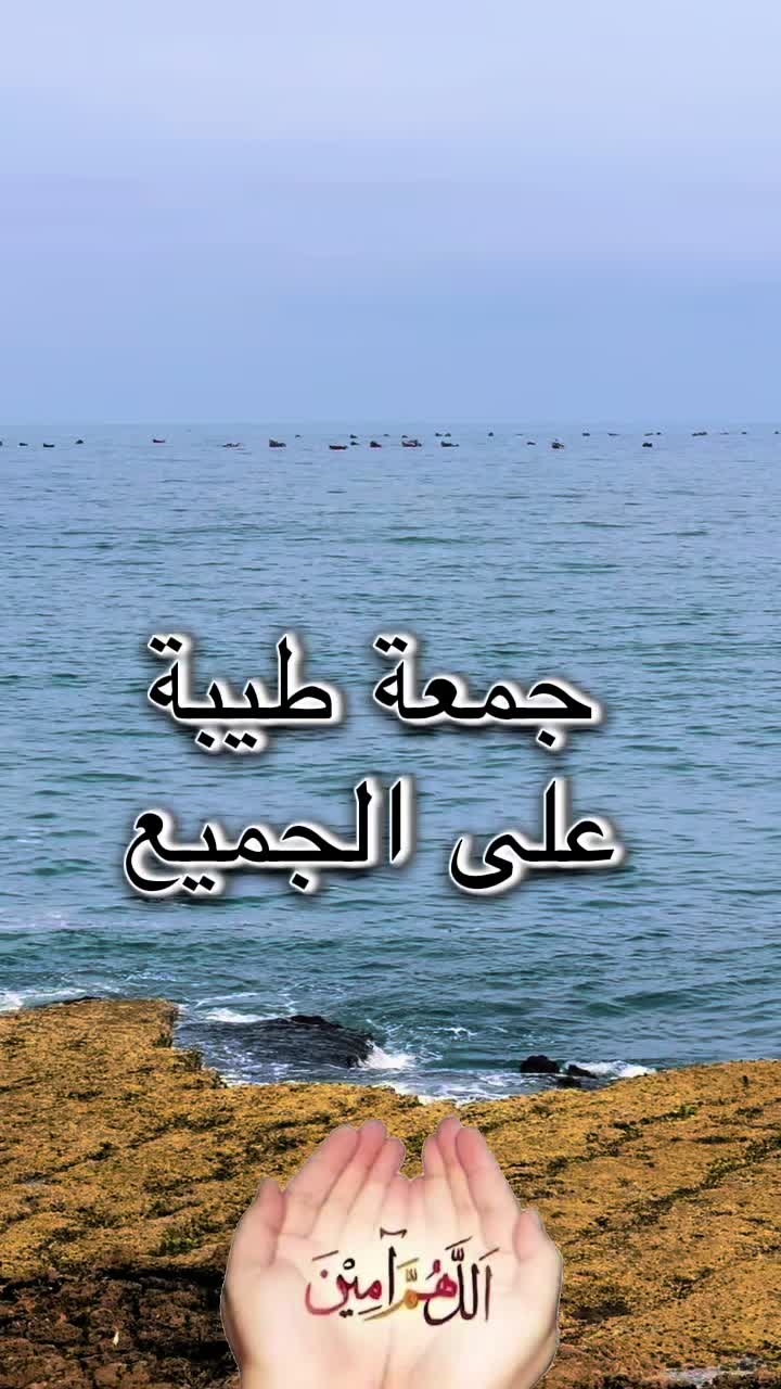 @Omfarouk_7