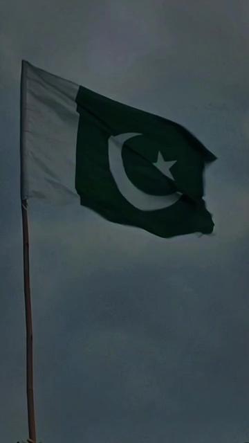 @🌹🇵🇰Syed🇵🇰🌹