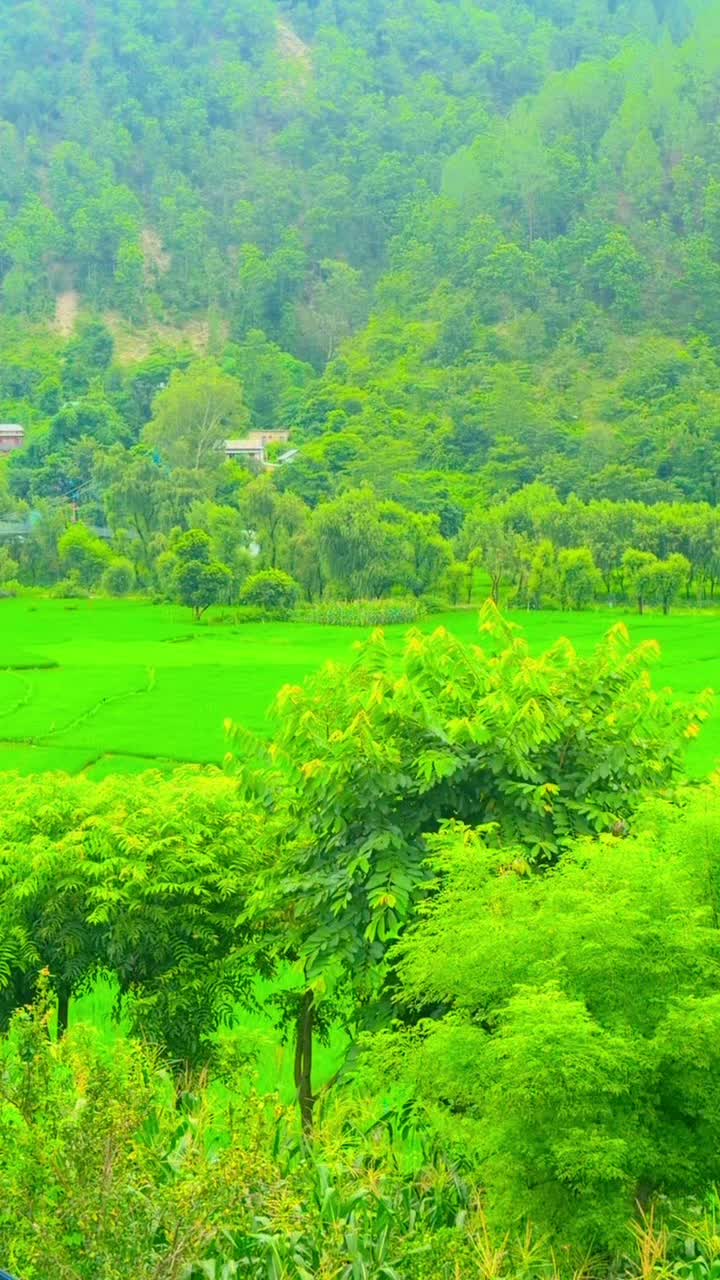 @Abhinandan_khadka