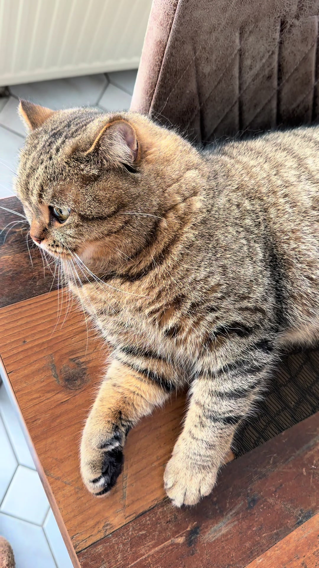 @Джоні 😻