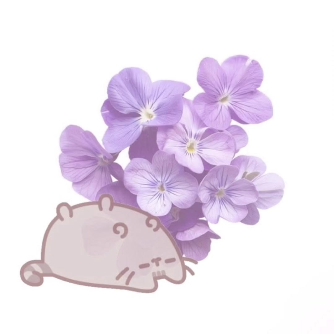 @𝐃𝐀𝐍𝐎𝐍𝐈𝐍𝐎 𝐘 𝐇𝐎𝐍𝐄𝐘