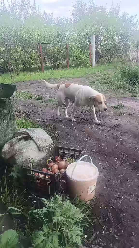 @Николай Иванович