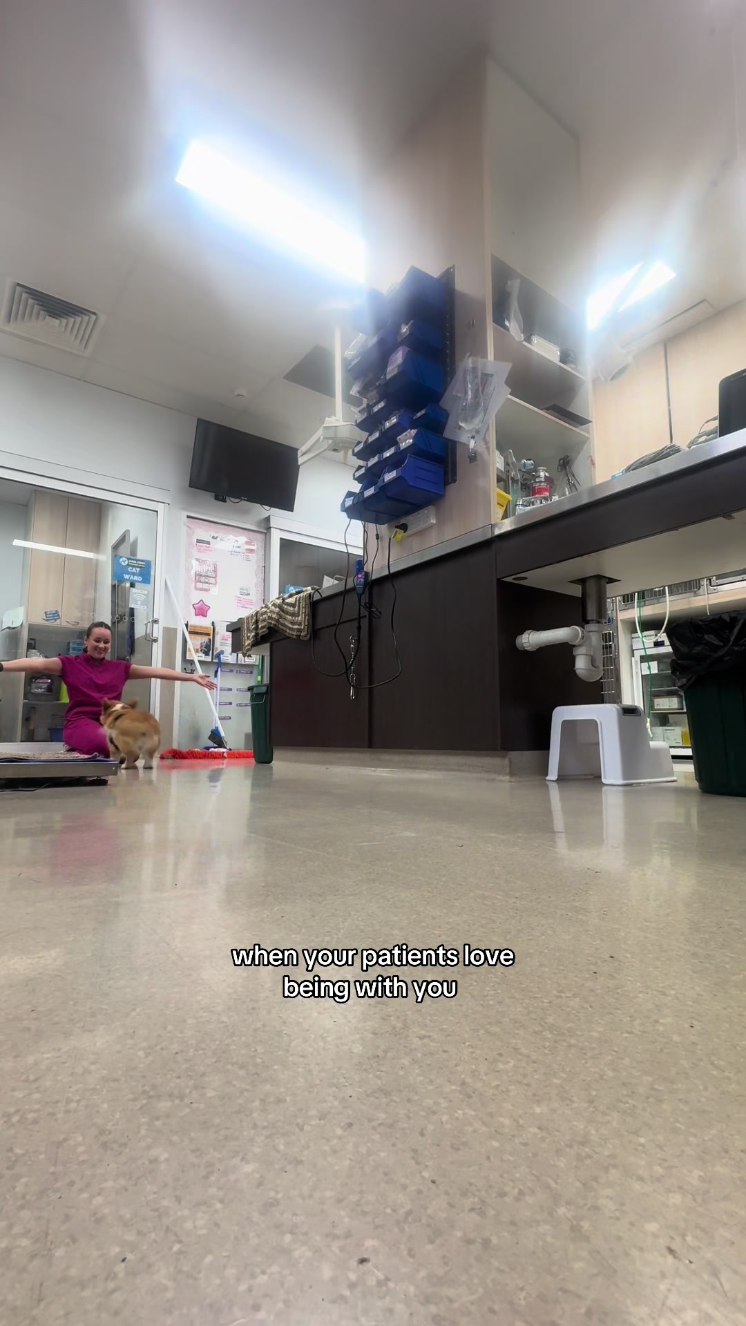 @James Street Vet