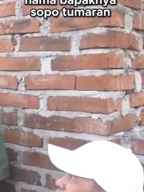 @๐ฝ๐๐ก๐๐ ๐๐ฟ๐