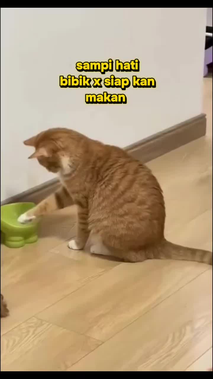 @izuanzainal