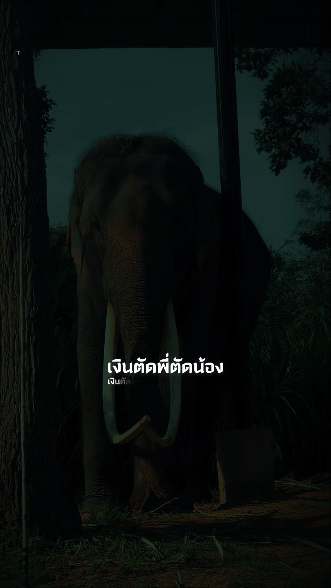 @เอกนรินทร์ เรียงเงิน