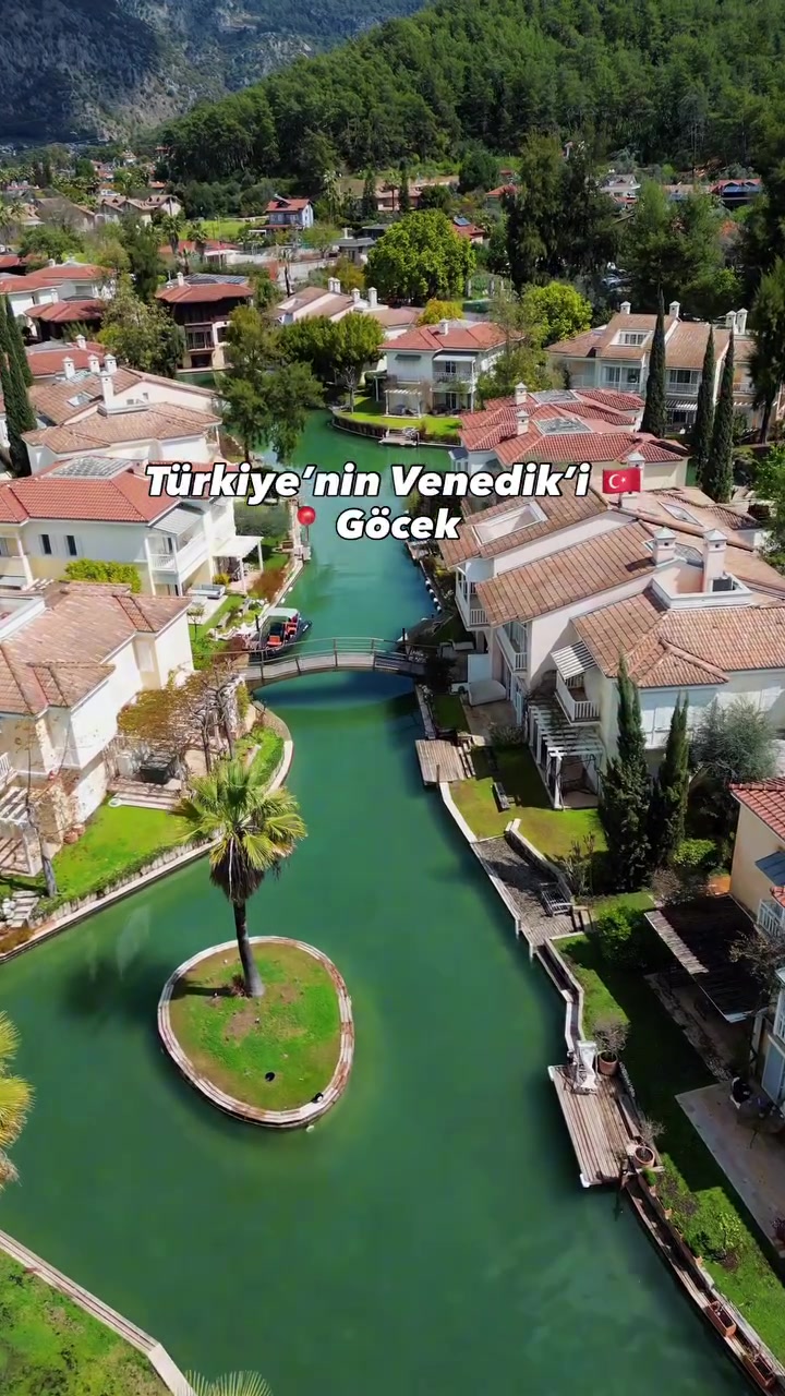 @Muğla Geyik