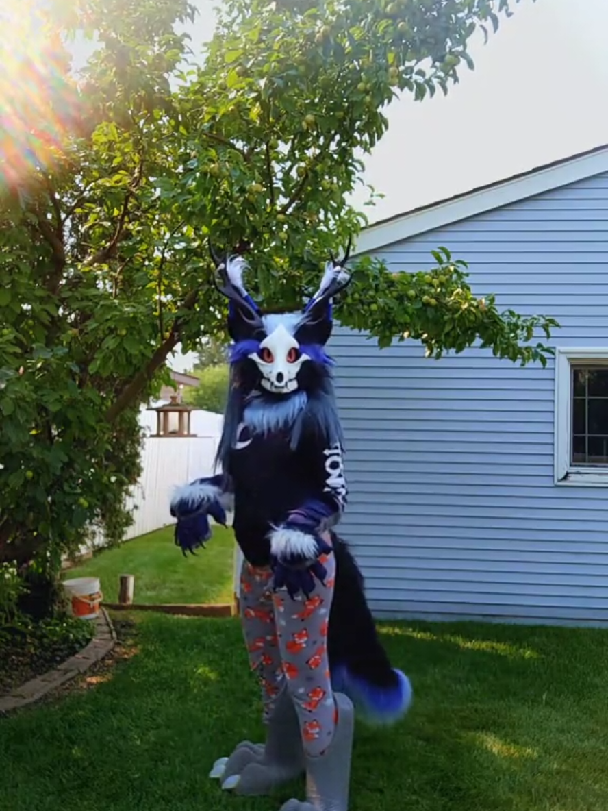 @CorvusFox