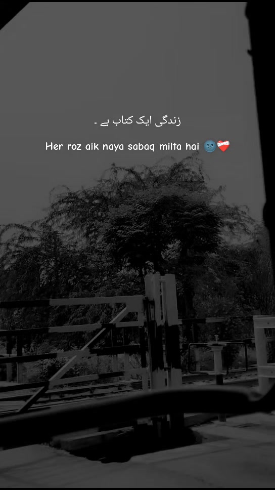 @𓆩♡𓆪 𝓐𝓫𝓮𝓮𝓻𝓪🚩