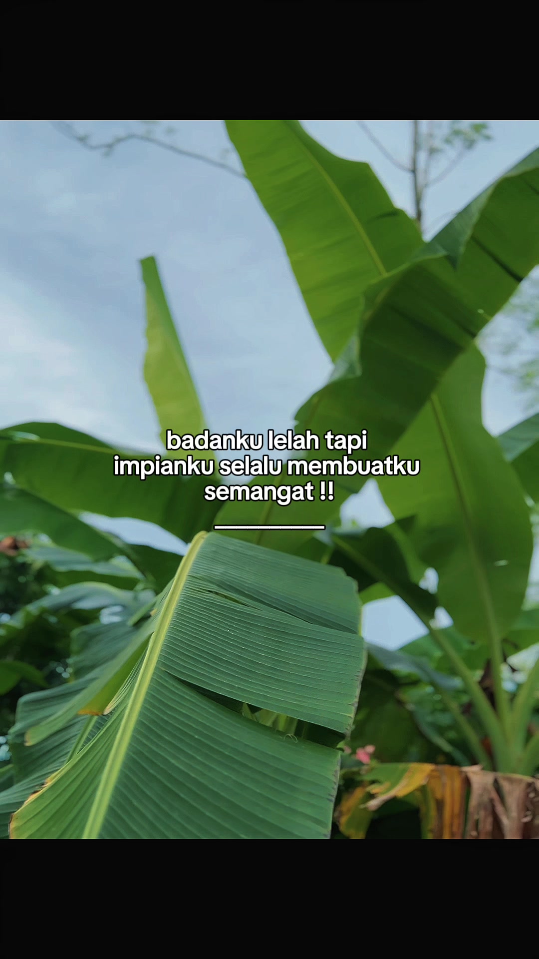 @INTROVERT