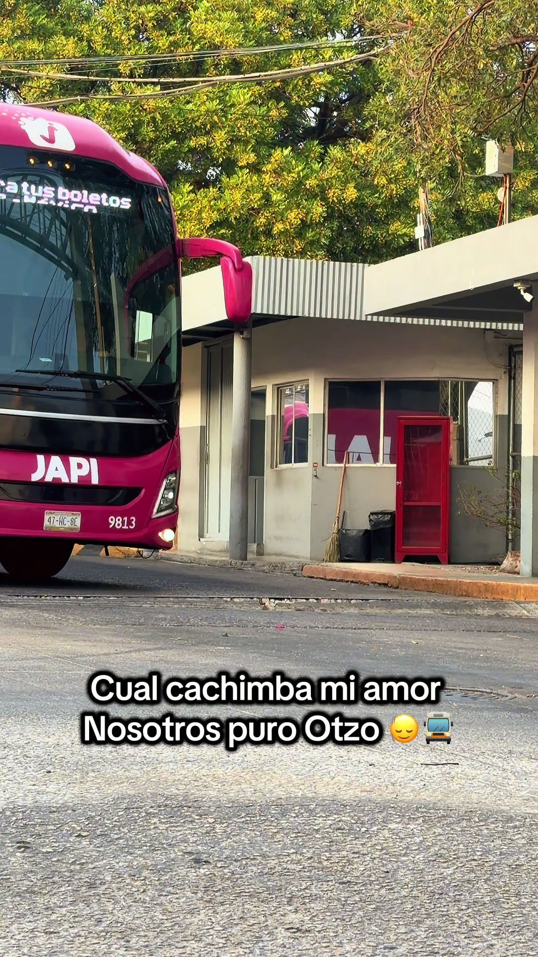 @ismaelcm78