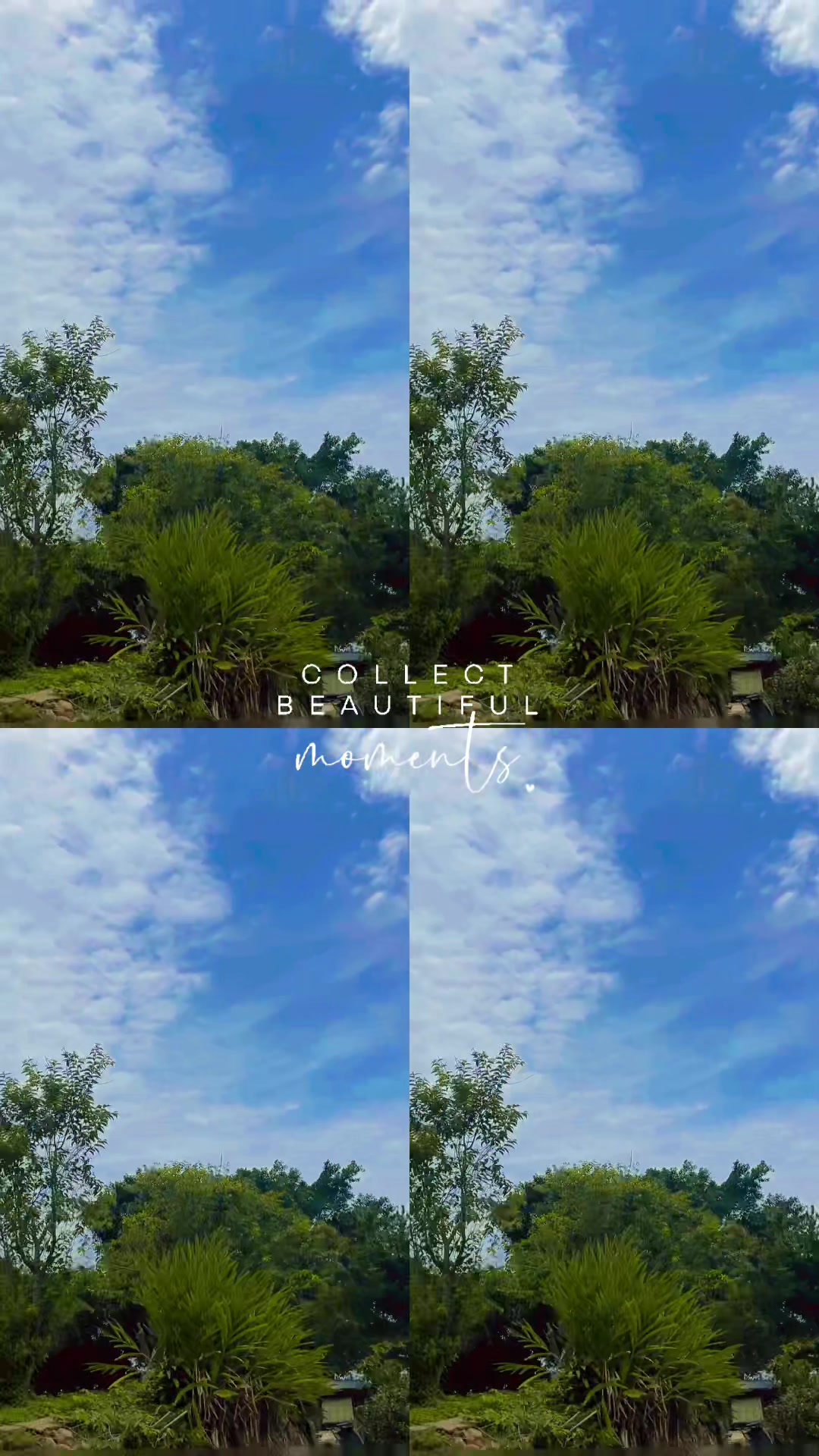 @你在看我嗎？